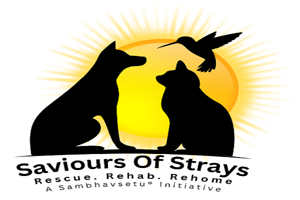 Saviours of Strays